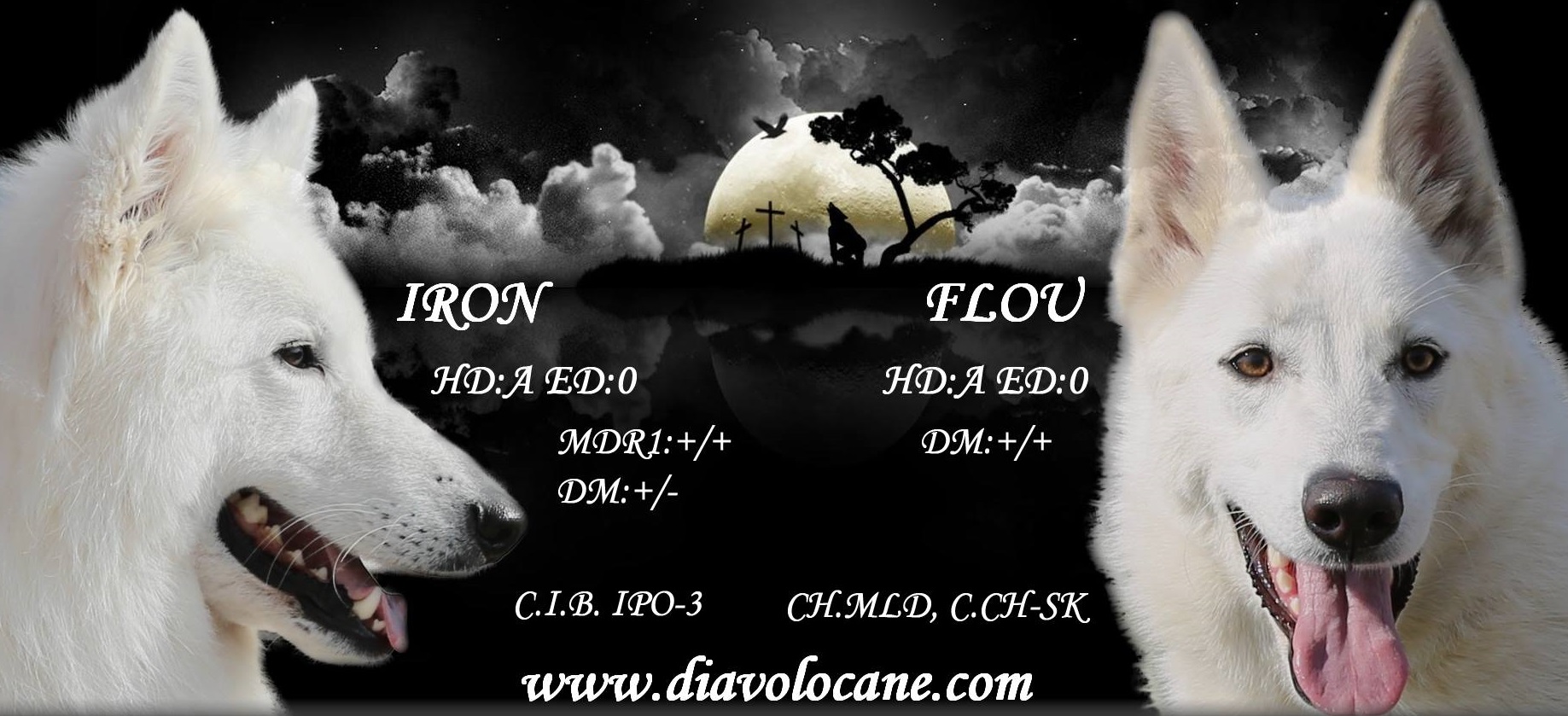 iron a flou